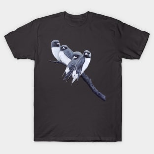 swallows all in a row T-Shirt